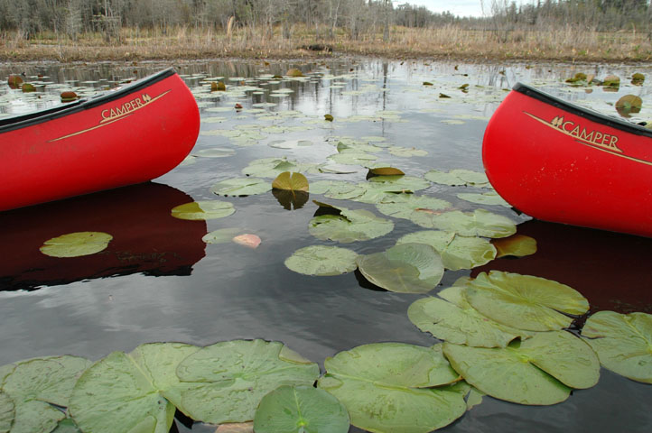 Two red canoes on calm water with lily pads and autumn marsh vegetation